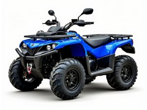 Квадроциклы и снегоходы